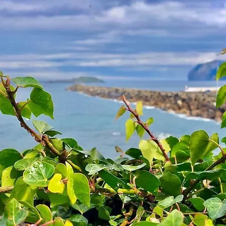 Arostegi - En Pleno Casco Antiguo Apartamento